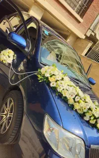 دسته گل عروس، ماشین عروس ،به روز ترین ها