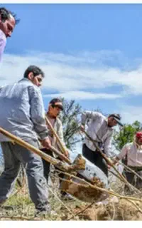 اکیپ باغ اسپار / سمپاشی / کود / درختکاری / آبیاری