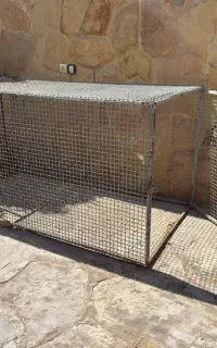قفس سگ ومرغ وپرنده
