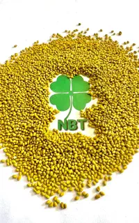 انواع بذرهای یونجه،ذرت و سبزیجات