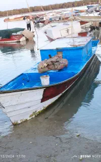 ماهشهر