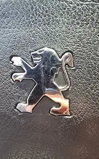 نیازمند شاگرد کارواش