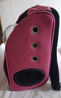 کوله باکس سگ وگربه