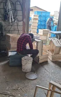 کارگاه تولیدی کندو ویدک