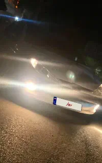 ۲۰۶ تیپ پنج تک برگ سند