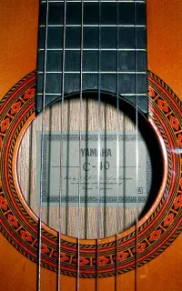 یاماها c40