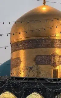 استاده حرفه ای