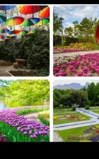 نیاز به طبیعت گردی