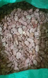 باقلا فروشی