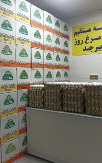 تخم مرغ زرده طلایی زیباشهر