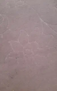 موکت درحد نو