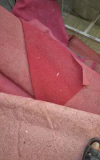 موکت