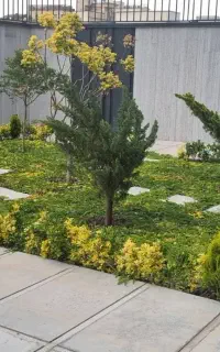 استخدام ادمین اینستاگرام