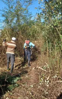 تمیز کردن زمین با دستگاه علفتراشی