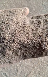 تفاله خرما اسیاب شده