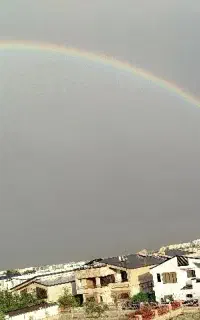 استخدام مهندس عمران جهت مشاوره املاک