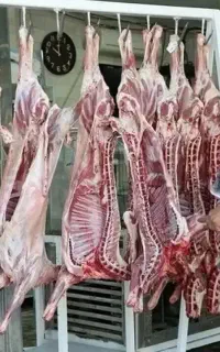 سلاخی و قصابی در محل (سیار) گاو .گوسفند و بز