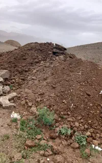 انبار گوسفند