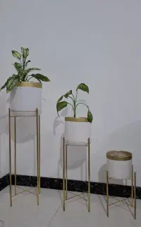 گل و گلدان