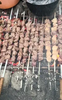 آشپزمجالس کباب زن ماهر