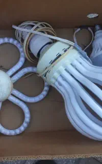 چند مدل لامپ سالم