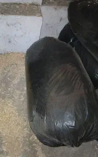پوشال چوب