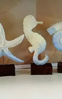 صدف، ماهی،ستاره دریایی