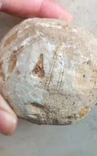 سنگ