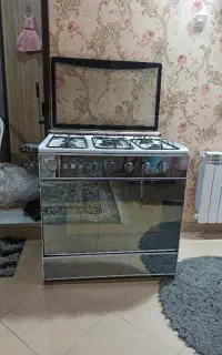 دو عدد گاز طرح فر