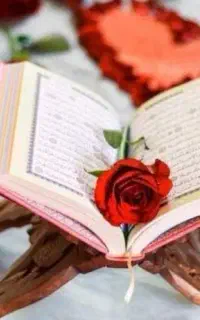 بهترین دعا نویس