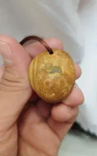 مهره مصور سلطانی کهنه پر انرژی