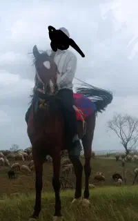 اسب