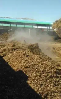 کود حیوانی مخصوص مزارع شور