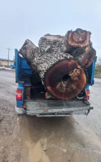 خریدانواع چوب
