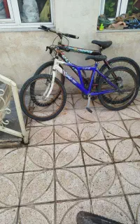 دوچرخه دو عدد