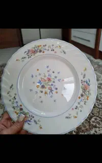 ظروف غذاخوری
