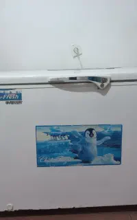 یخچال صندوقی در حدنو
