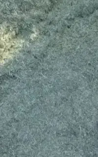 یونجه درجه 1