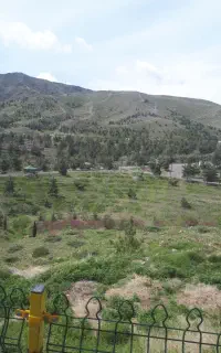 ورزش های زمستانی