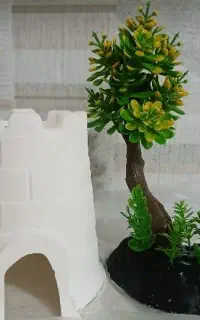 دکوری آکواریوم