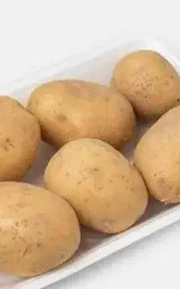 خریدار سیب زمینی