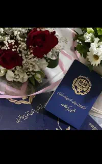 وکیل متخصص* ملکی*دیه*کیفری*کلاهبرداری دیوان عدالت