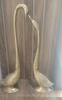 قو برنزی