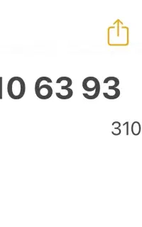0912.310.63.93