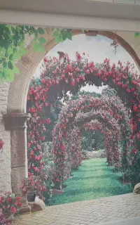 نصاب کاغذ دیواری پوستر ،قرنیز ، فروش(سطح شهر)