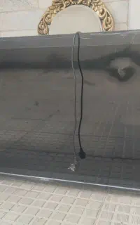 تلویزیون