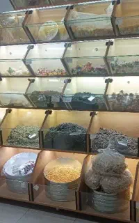 استند مغازه