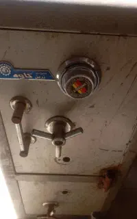 گاو صندوق