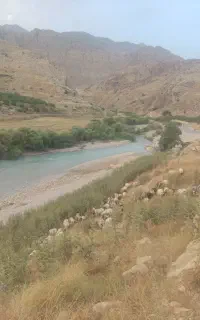 فروشی