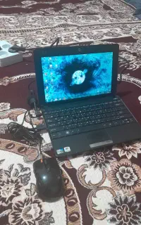 دوعددلپ تاب